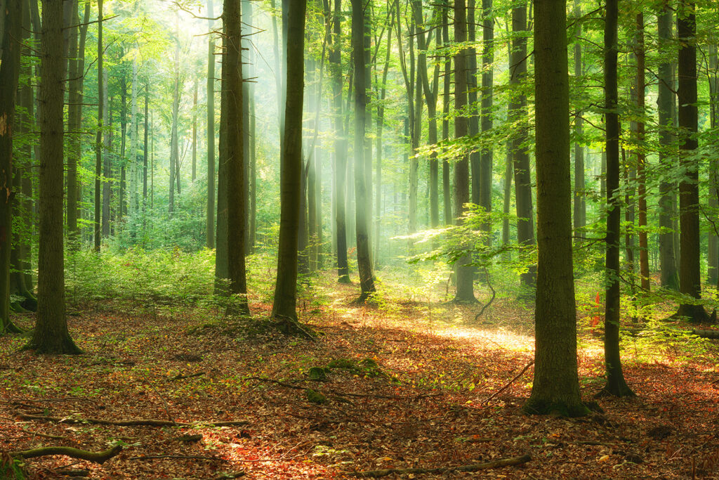 LaPorte, Indiana Nature Trails